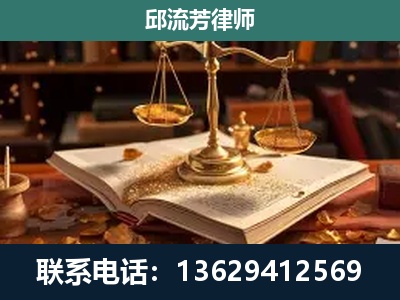 朝阳-新型网络犯罪